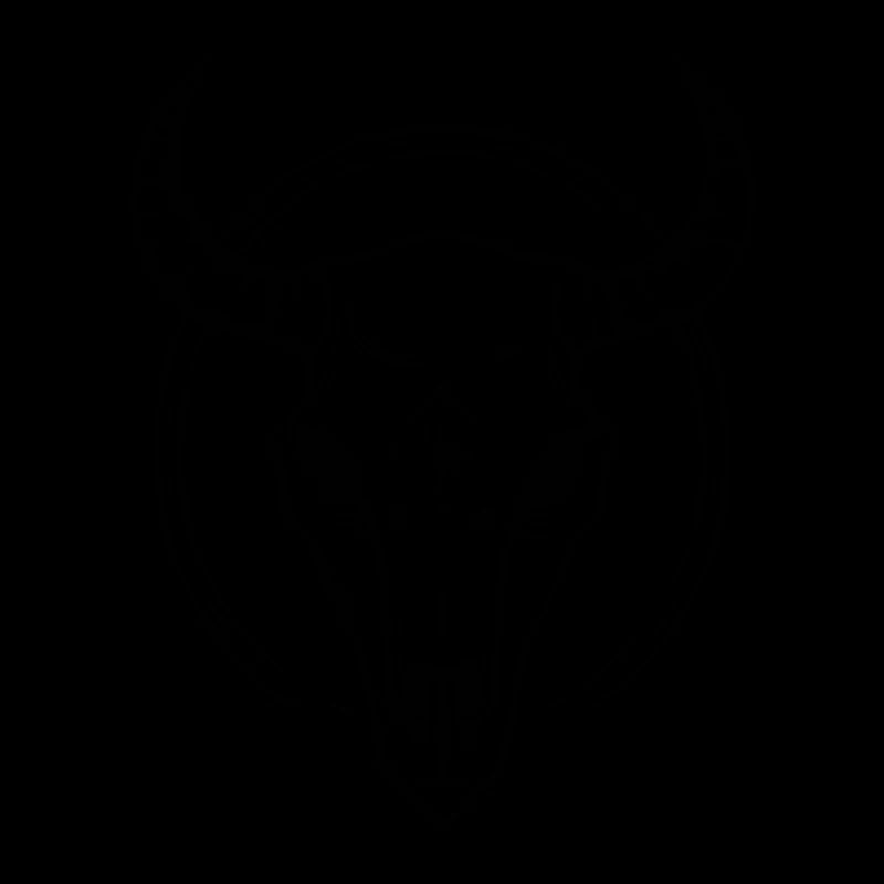 Crâne de vache Boho