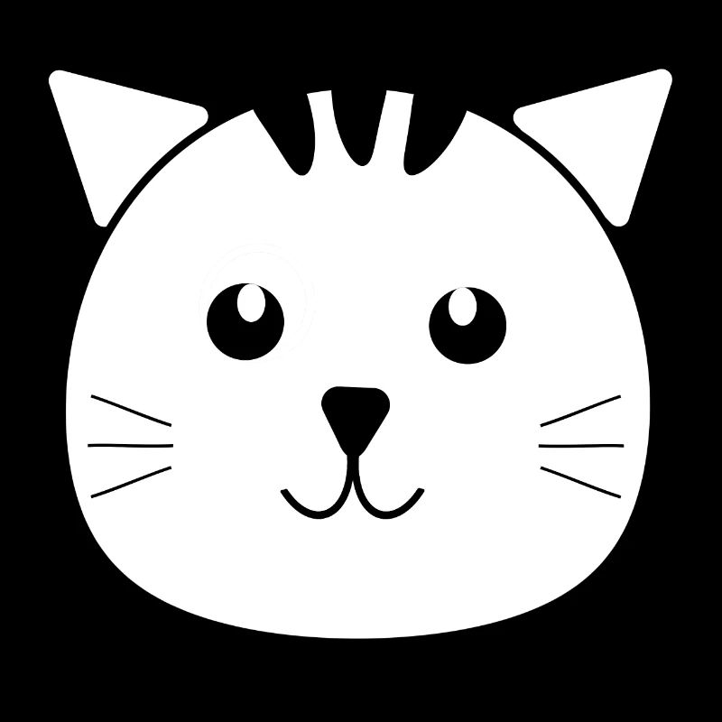 Le petit chat Otto