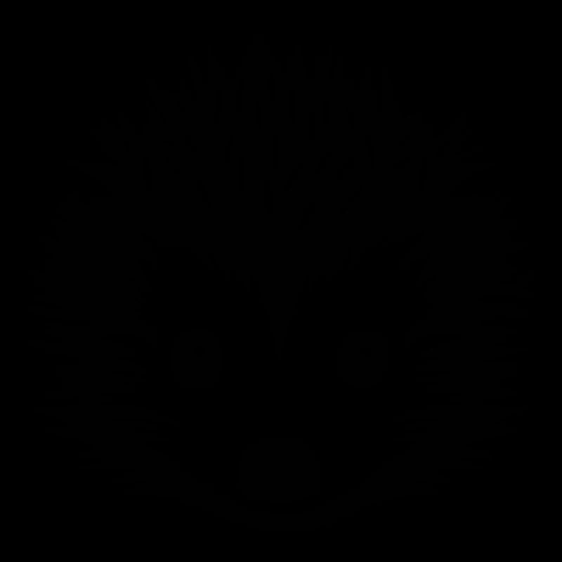 Hérisson Forest Prickly Animal