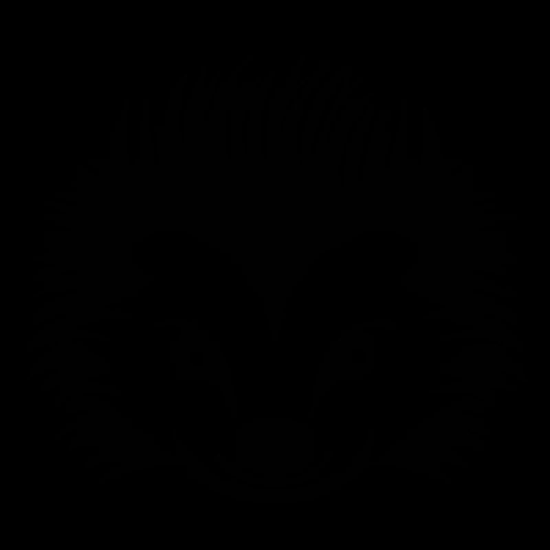 Igel Wald Stachelig Tier