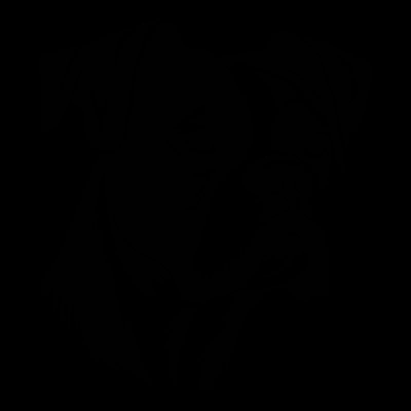 Boxer Hund Hunderasse