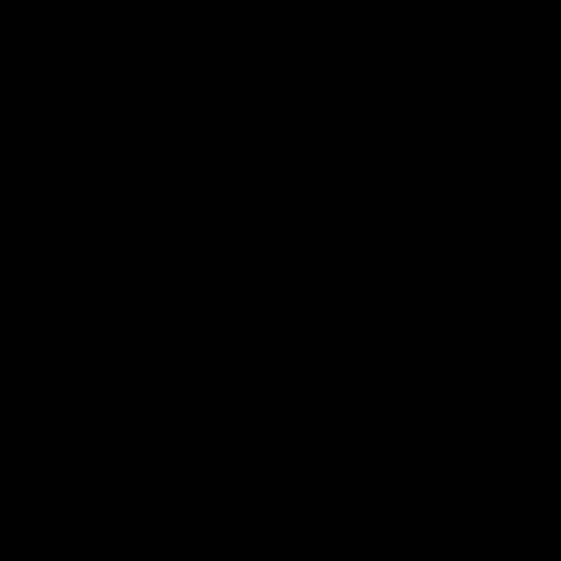 Boxer Hund Hunderasse