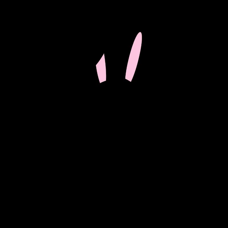 Team Pan pan cul cul lapin