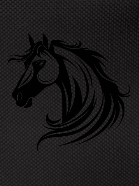 Pferd Pferdekopf Pony