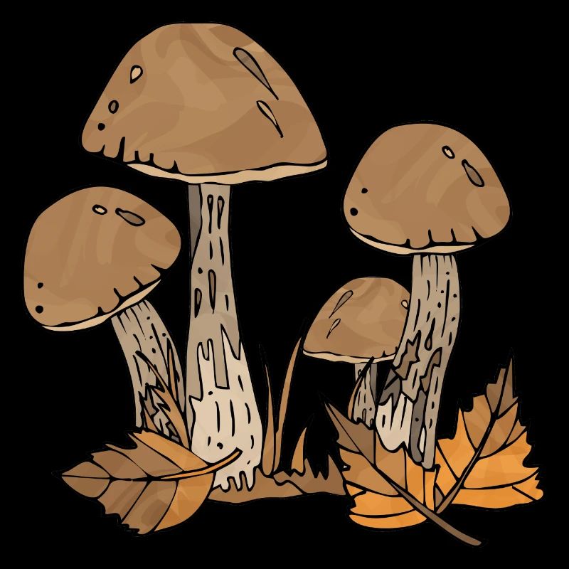 Pilze