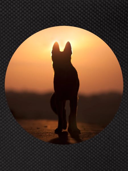 German Shepherd / Wolf Silhouette