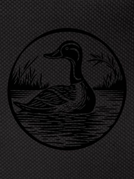 Duck Birds Ducks