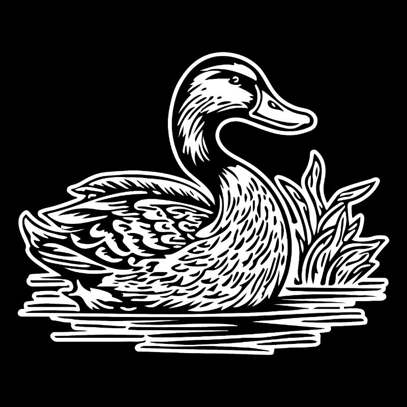 Canard Oiseaux Canards