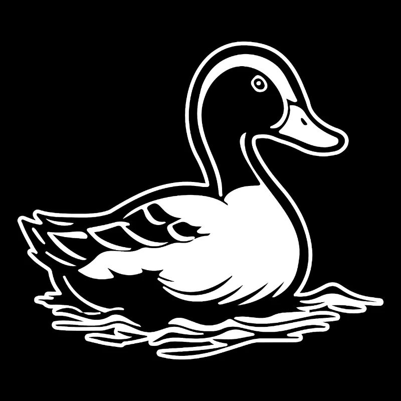Canard Oiseaux Canards