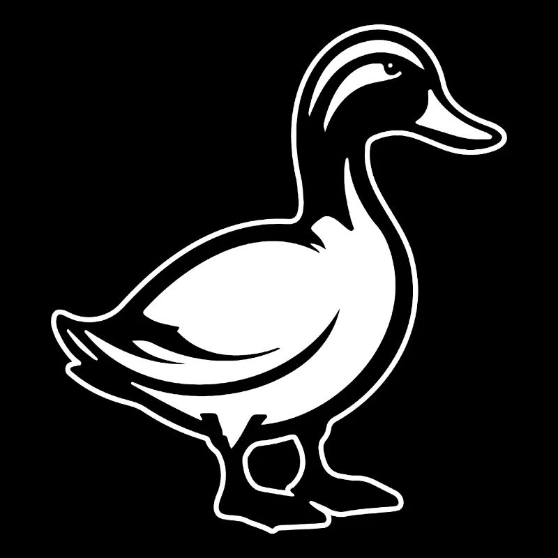 Canard Oiseaux Canards