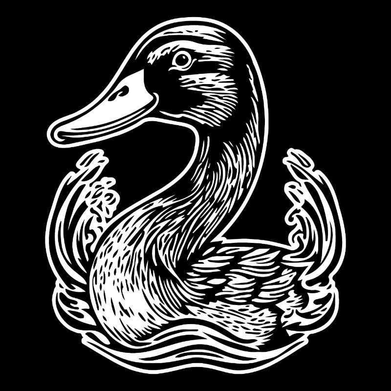 Canard Oiseaux Canards