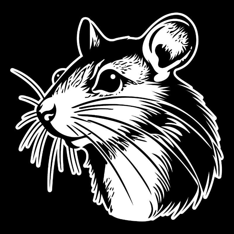 Rat, Mouse, Rodent, Rats