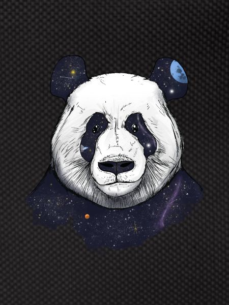 Space panda