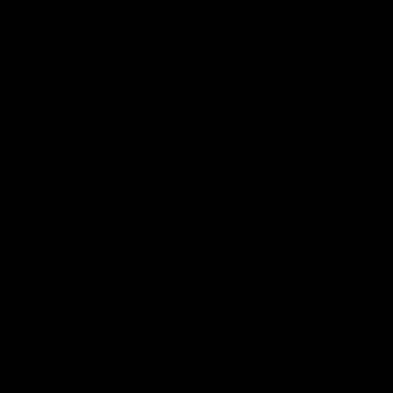 Eule Eulen Vogel Vögel