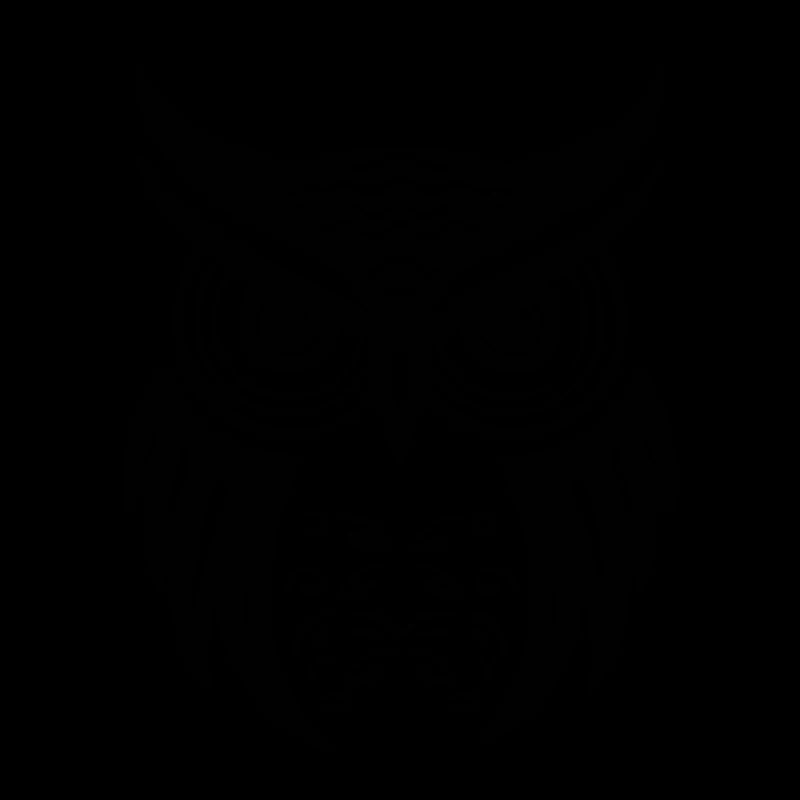 Eule Eulen Vogel Vögel