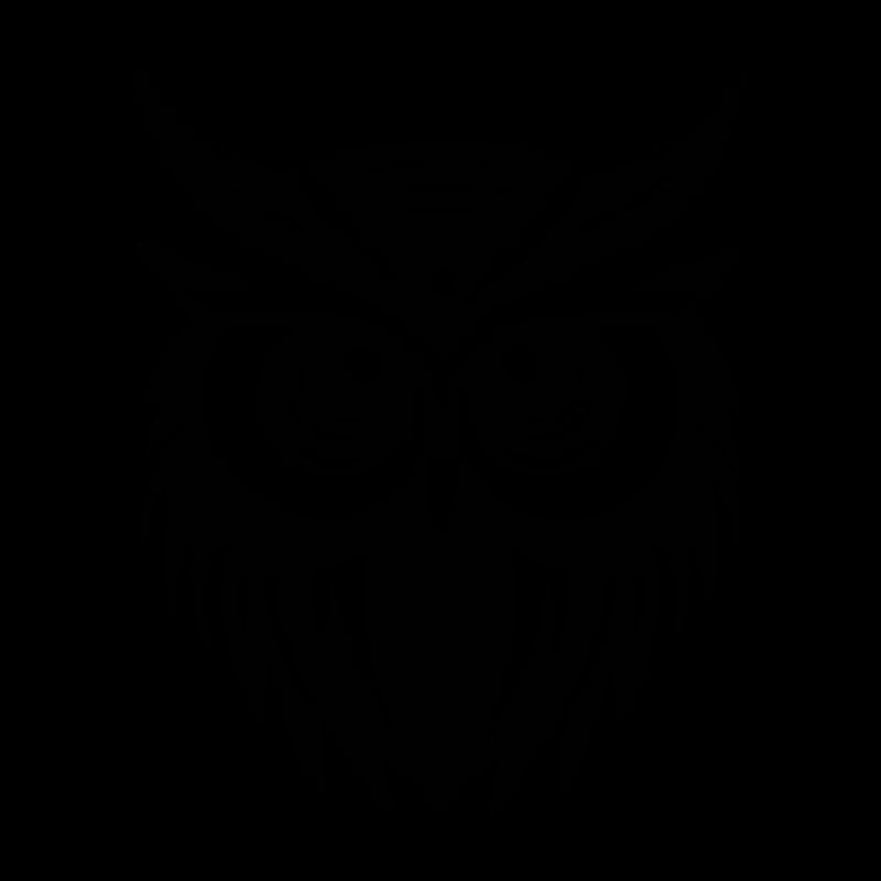 Eule Eulen Vogel Vögel