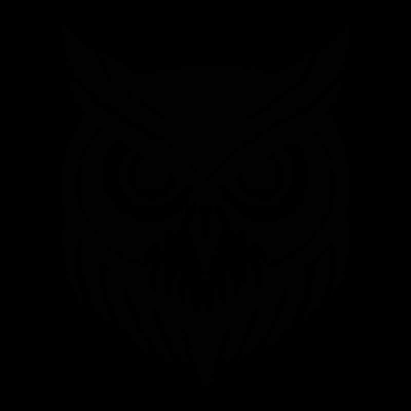 Eule Eulen Vogel Vögel