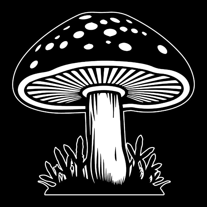 Champignon Cueilleur de champignons Champignons Champignons