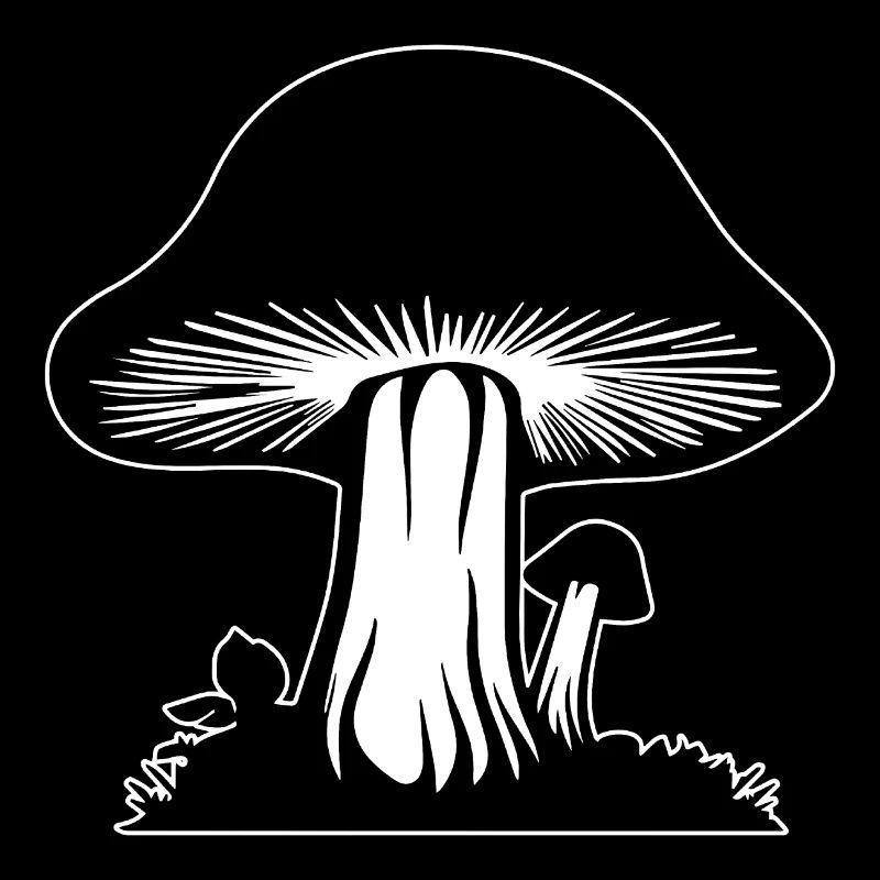 Champignon Cueilleur de champignons Champignons Champignons