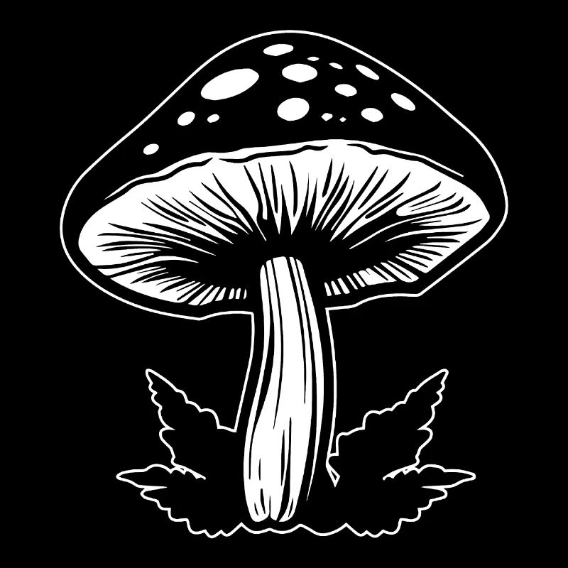 Champignon Cueilleur de champignons Champignons Champignons