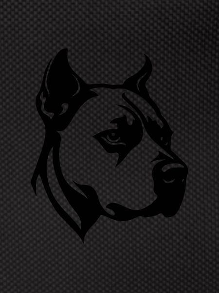 Pitbull