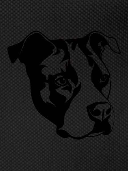 Pitbull
