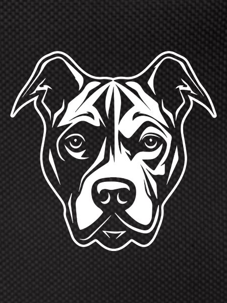 Pitbull