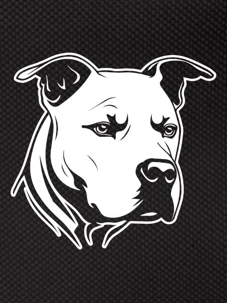 Pitbull