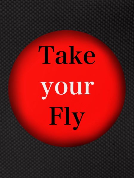 Take your Fly