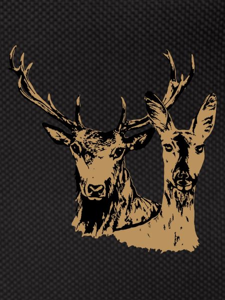 Deer and doe