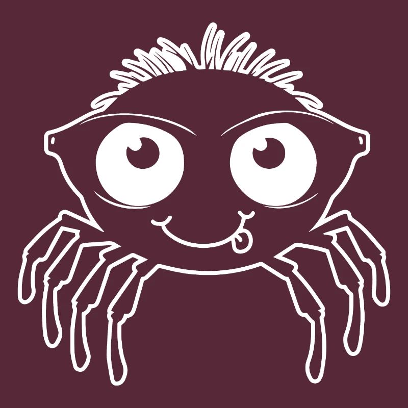 Spider spiders animals
