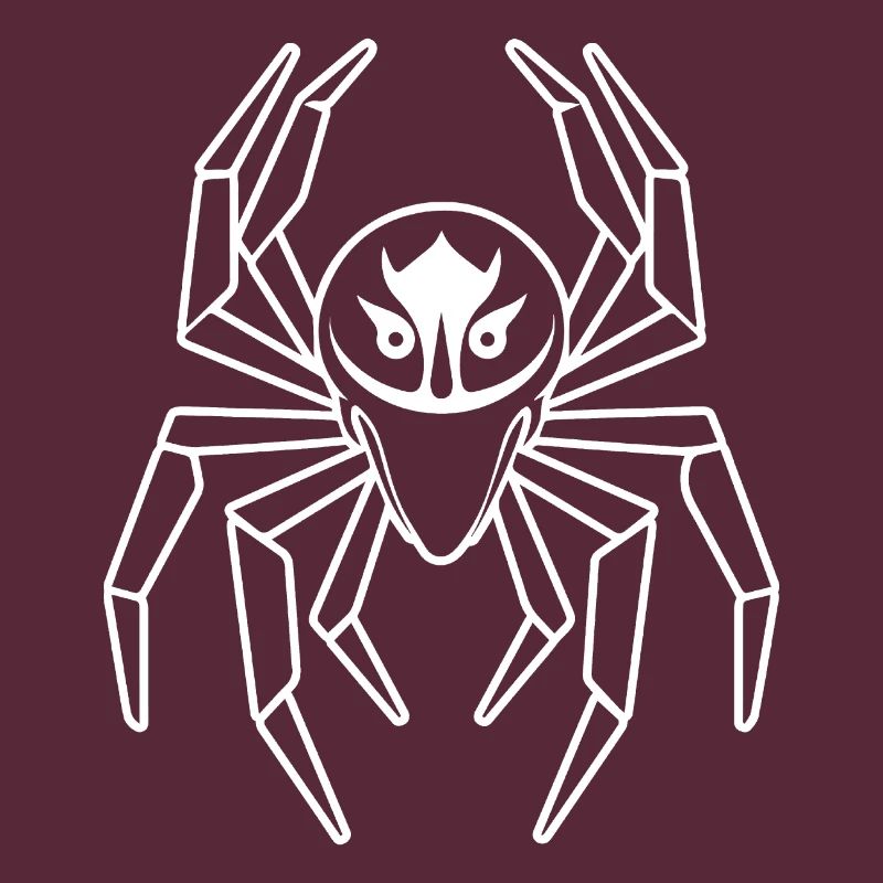 Spider spiders animals