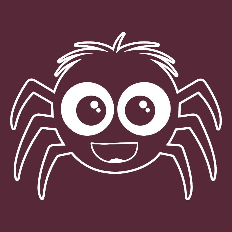 Spider spiders animals