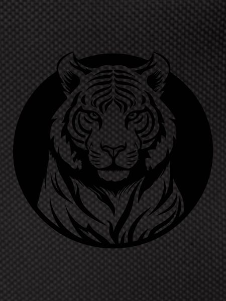 Tiger Big Cat