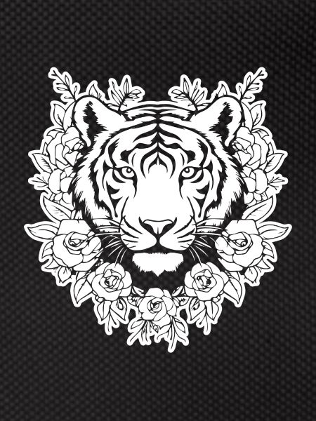 Tiger Big Cat