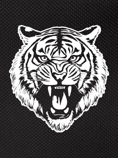 Tiger Big Cat