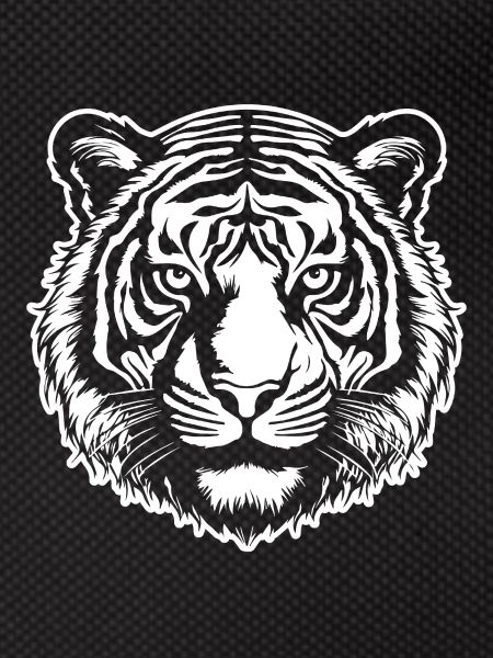 Tiger Big Cat