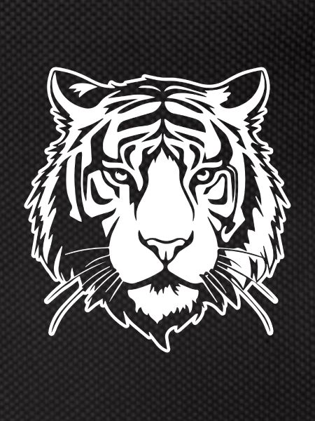 Tiger Big Cat