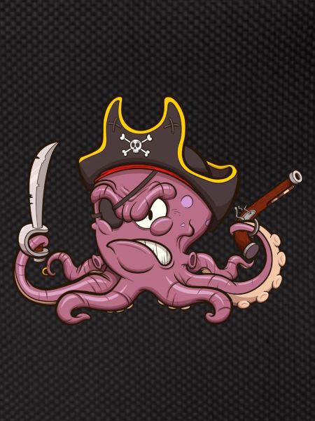 Pirate Octopus
