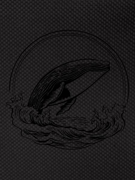Baleine Poisson de mer