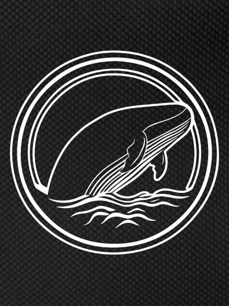Baleine Poisson de mer