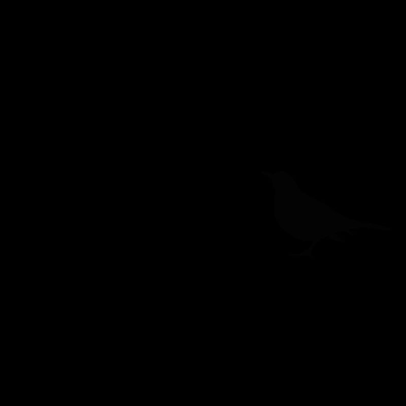 Vögel minimalistisch, Silhouetten