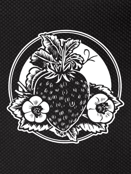 Strawberry Fruit Fruit