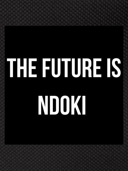 THE FUTURE IS NDOKI