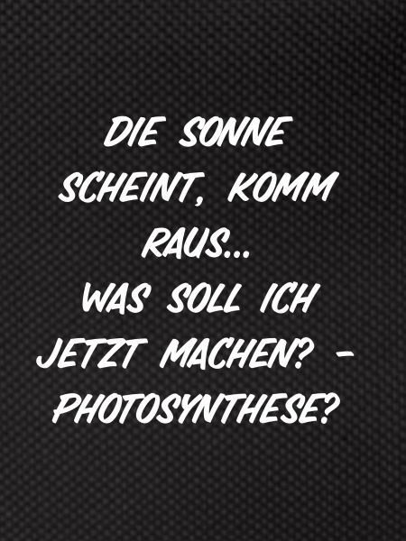 Die Sonne scheint, komm raus