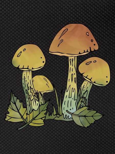 Pilze