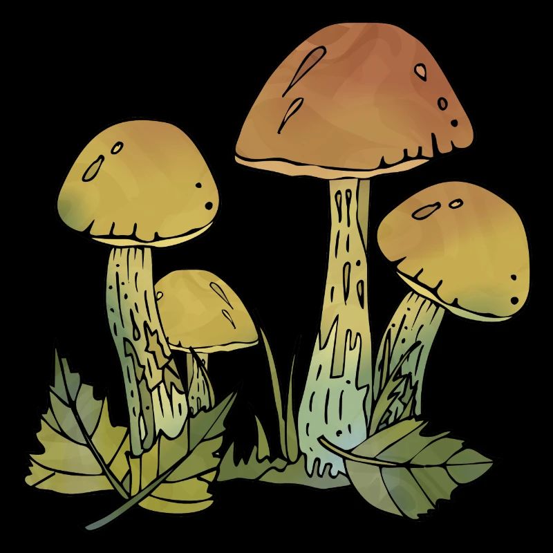 Fungi