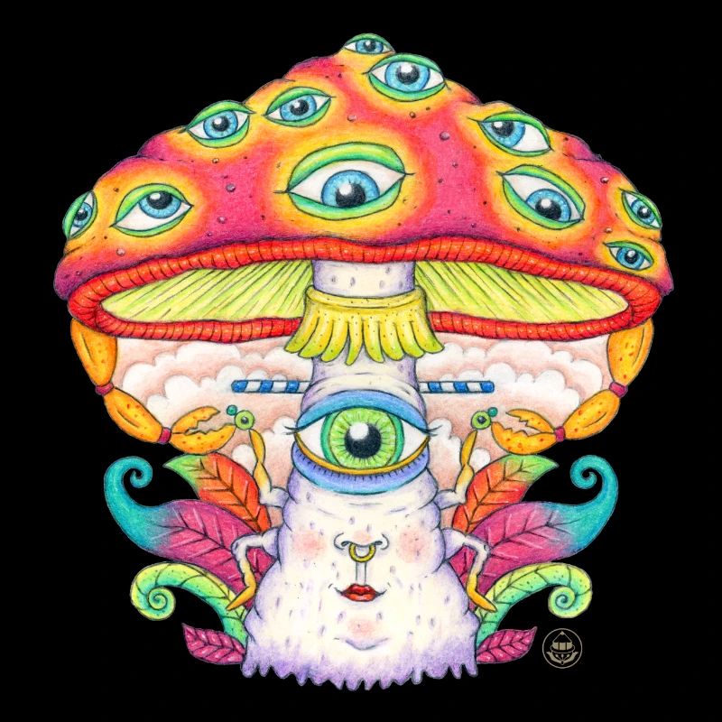 Faites confiance à l’univers, champignon, champignon