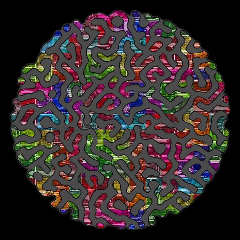 Maze