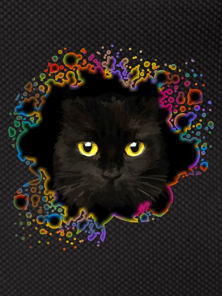 Katze
